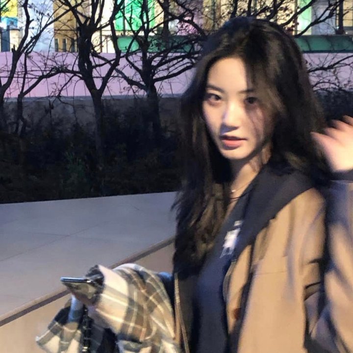 玫瑰的故事