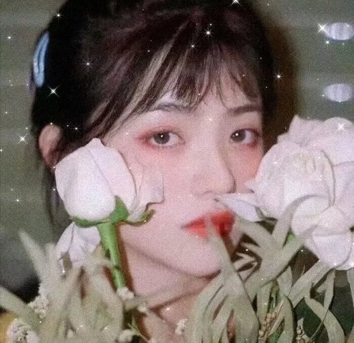 度华年