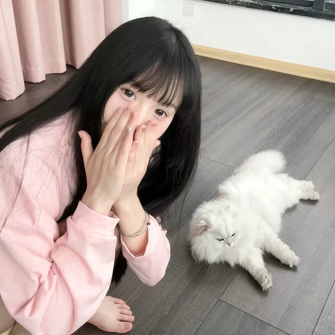 苍兰诀